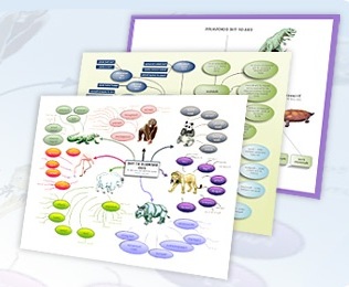 数据信息的图形化呈现应用